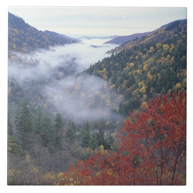 Carreau États-Unis, Tennessee, Great Smokey Mountains Nati (Devant)