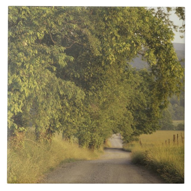 Carreau États-Unis, Tennessee, Great Smoky Mountains Natio (Devant)