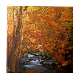 Carreau États-Unis, Tennessee. Ruisseau Rushing Mountain 