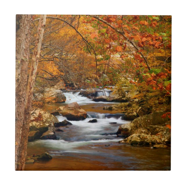 Carreau États-Unis, Tennessee. Rushing Mountain Creek (Devant)