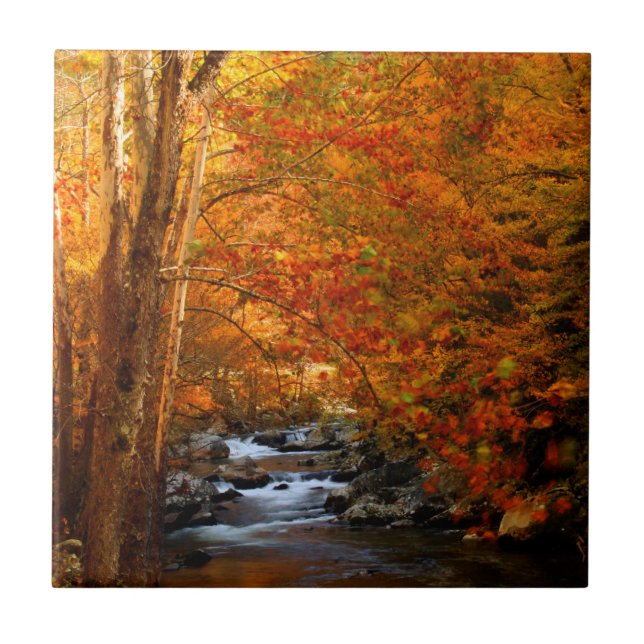 Carreau États-Unis, Tennessee. Rushing Mountain Creek 2 (Devant)