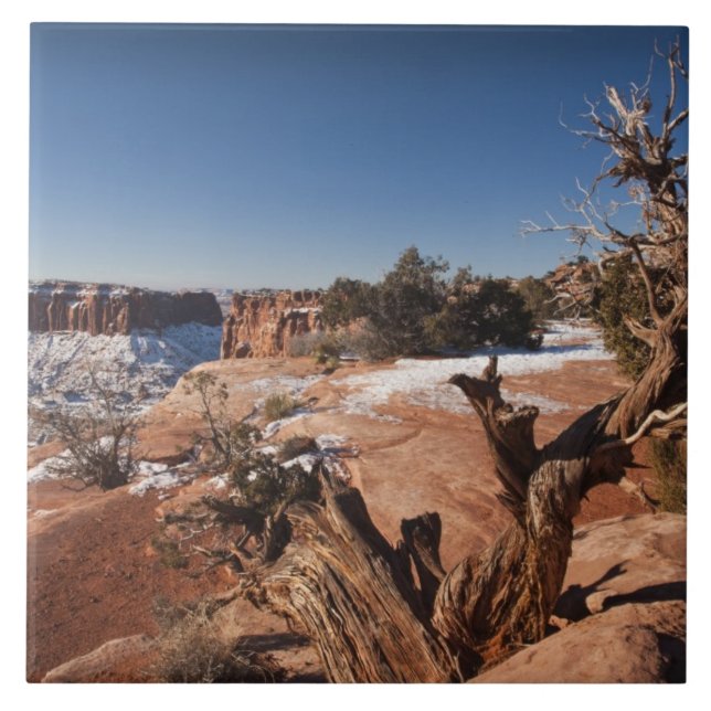 Carreau États-Unis, Utah, Moab. Parc national de Canyonlan (Devant)