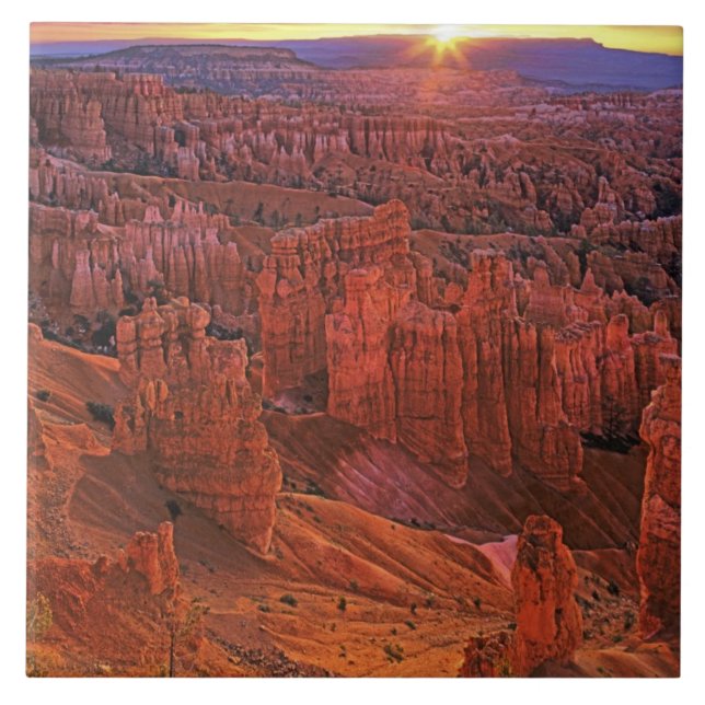 Carreau États-Unis, Utah, Parc national de Bryce Canyon. (Devant)