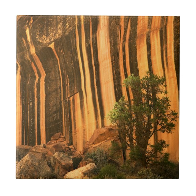 Carreau États-Unis, Utah, Parc national de Capitol Reef (Devant)