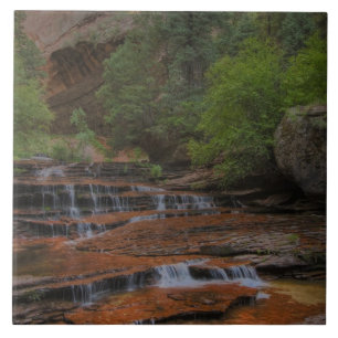Carreau États-Unis, Utah, parc national de Zion. Paysage d