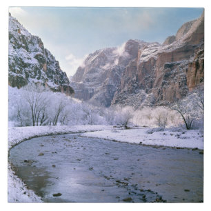 Carreau États-Unis, Utah, Zion NP. Neige fraîche sur le ca
