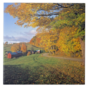 Carreau États-Unis, Vermont, ferme de Jenne. L'automne arr