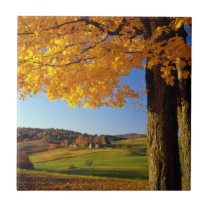 Carreau États-Unis, Vermont. Paysage agricole près de Sout