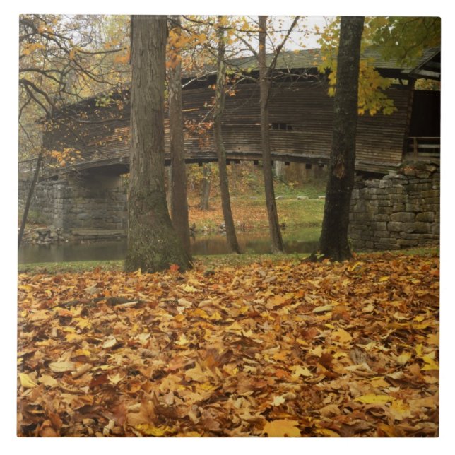 Carreau États-Unis, Virginie, Covington, Humpback couvert (Devant)