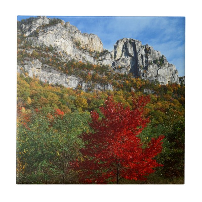 Carreau États-Unis, Virginie-Occidentale, Spruce Knob-Sene (Devant)