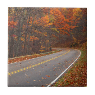 Carreau États-Unis, Virginie, Parc national de Shenandoah,