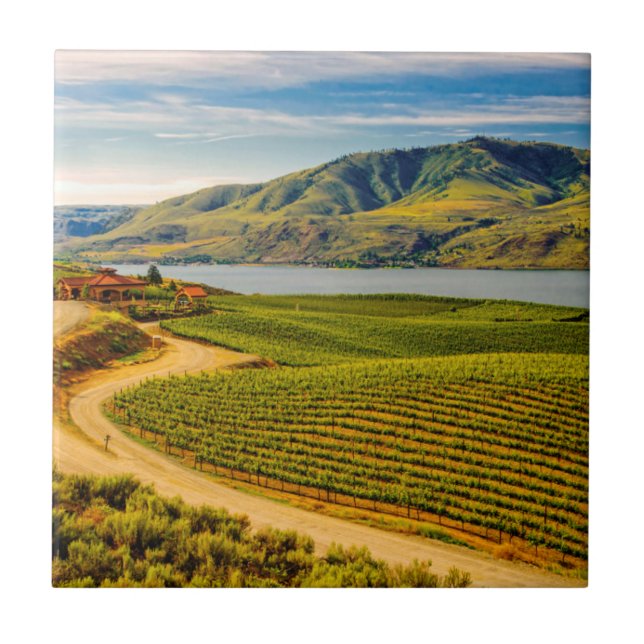Carreau États-Unis, Washington, lac Chelan. Benson Vineyar (Devant)