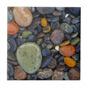 Carreau États-Unis, Washington, Lopez Island, Agate Beach