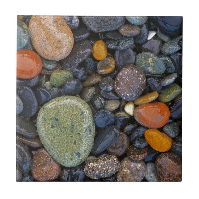 Carreau États-Unis, Washington, Lopez Island, Agate Beach (Devant)