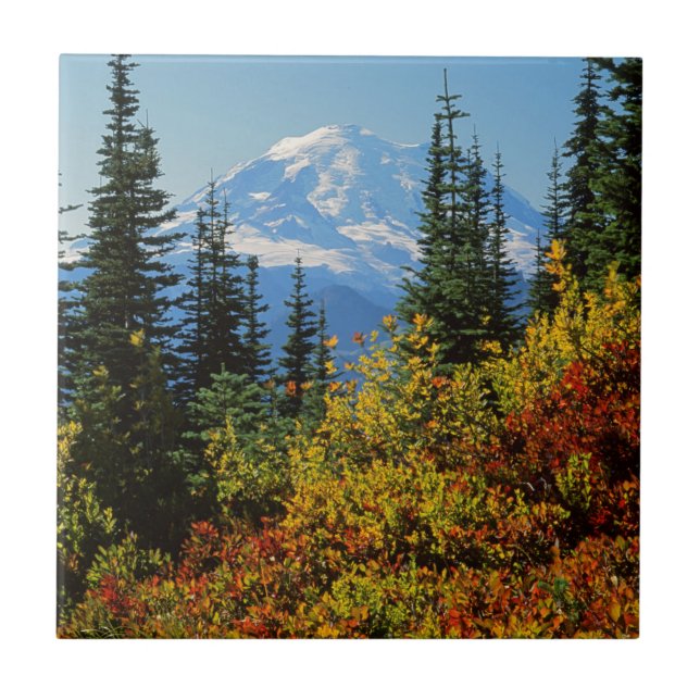 Carreau États-Unis, Washington, Mt. Rainier National Park  (Devant)