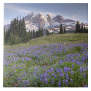 Carreau États-Unis, Washington, Mt. Rainier NP, Mt. Rainie