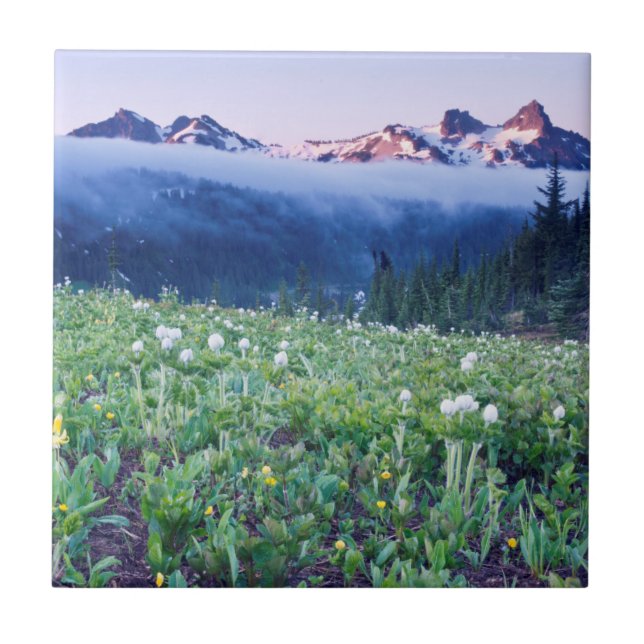 Carreau États-Unis, Washington, Parc national du mont Rain (Devant)