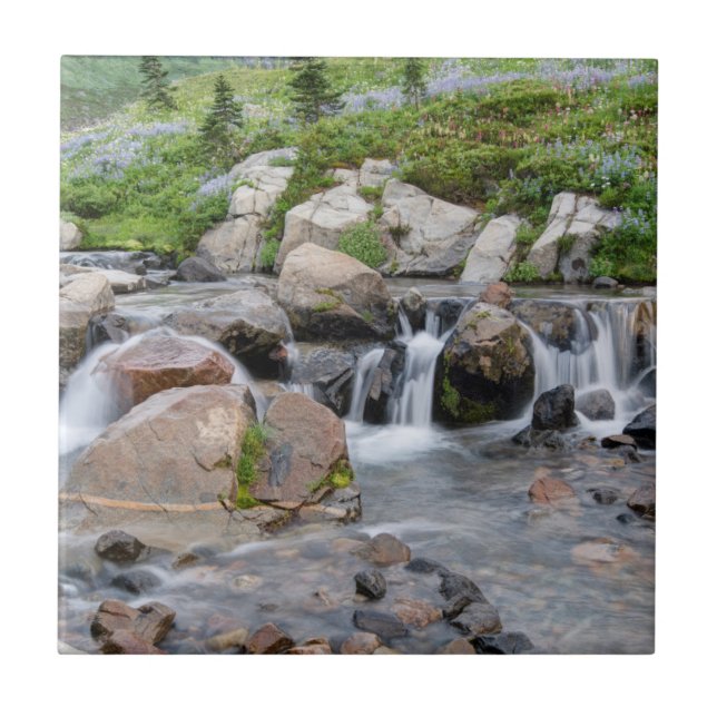 Carreau États-Unis, Washington, Parc national du mont Rain (Devant)