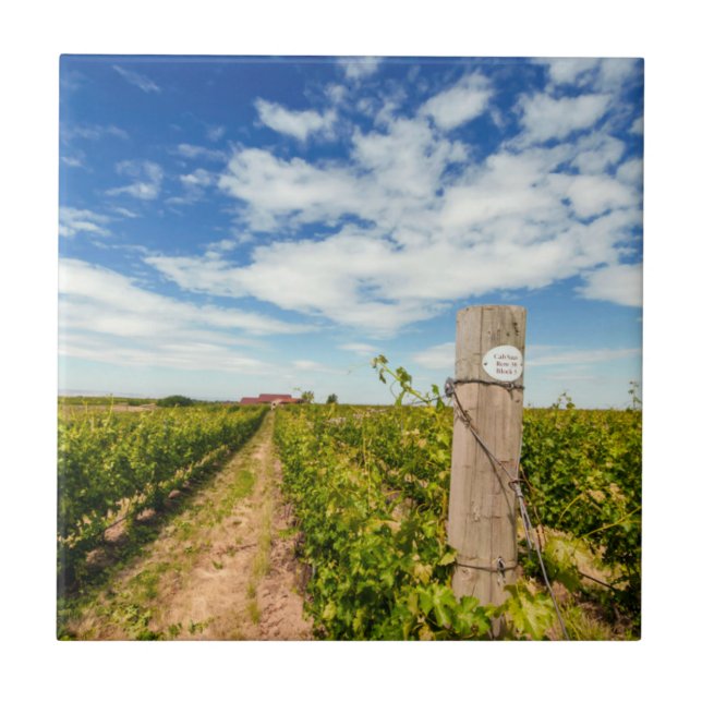 Carreau États-Unis, Washington, Walla Walla. Cabernet Sauv (Devant)