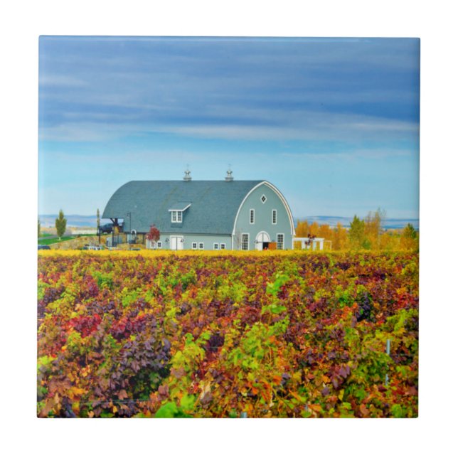 Carreau États-Unis, Washington, Walla Walla. Garrison Cree (Devant)