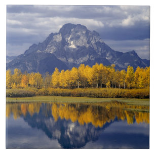 Carreau États-Unis, Wyoming, Grand Teton NP. Contre les