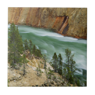 Carreau États-Unis, Wyoming, Parc national de Yellowstone