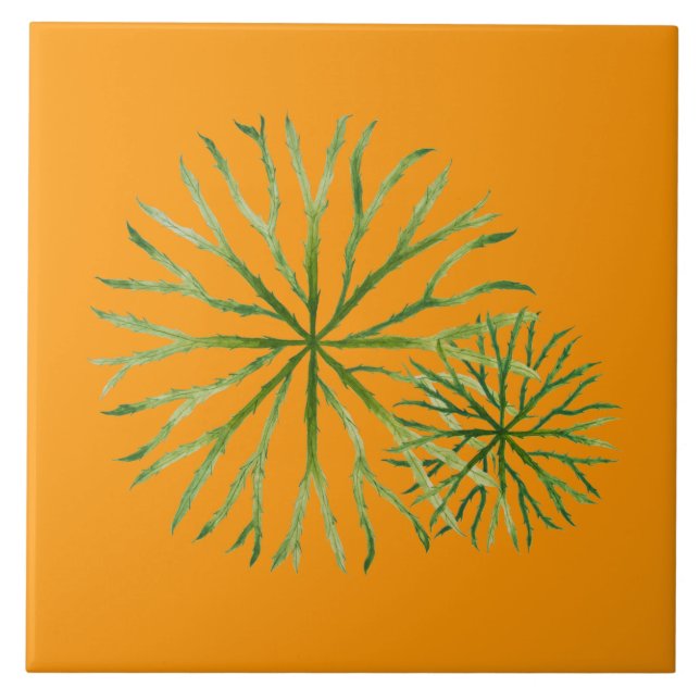 Carreau Été indien sur une Carrelage en céramique (O) (Devant)