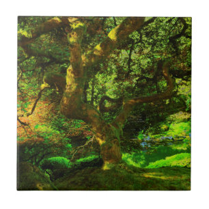 Carreau Été, Portland Japanese Garden, Portland