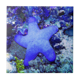 Carreau Étoiles de mer bleues tropicales se reposant sur
