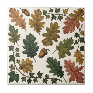 Carreau Étude botanique de feuilles de chêne et de lierre