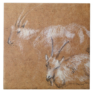 Carreau Étude des chèvres (dessin)