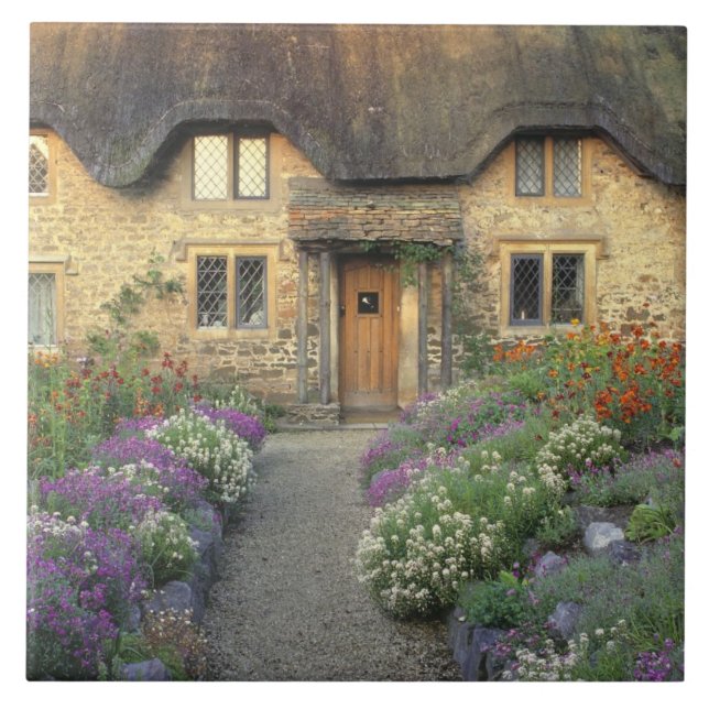 Carreau Europe, Angleterre, Chippenham. Lumière tôt le mat (Devant)