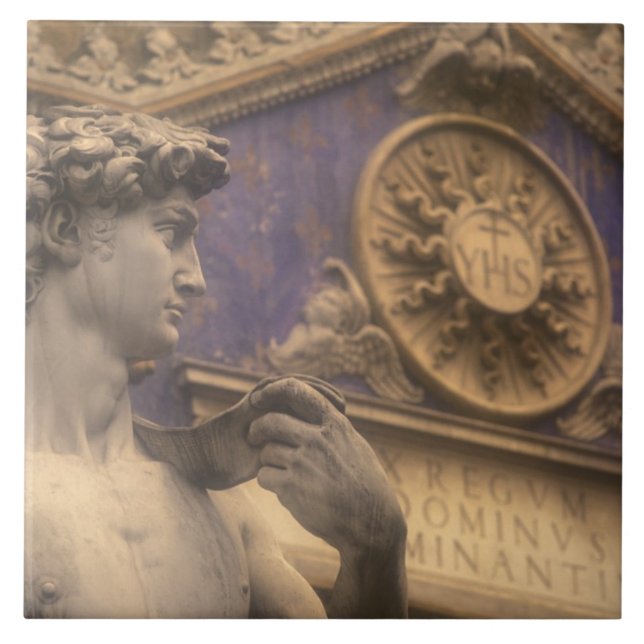 Carreau Europe, Italie, Toscane, Florence, Piazza della (Devant)