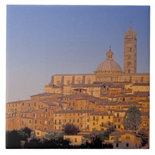 Carreau Europe, Italie, Toscane, Sienne. XIIIe siècle 3