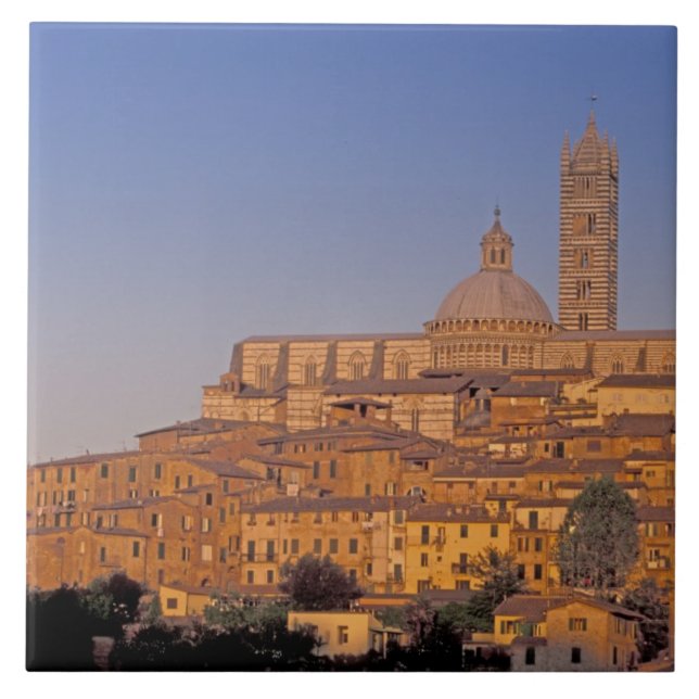 Carreau Europe, Italie, Toscane, Sienne. XIIIe siècle 3 (Devant)