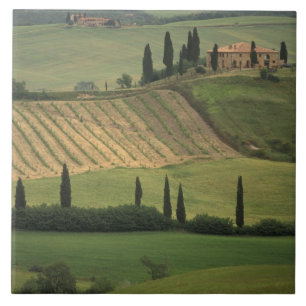 Carreau Europe, Italie, Toscane, Val d'Orcia, Toscan