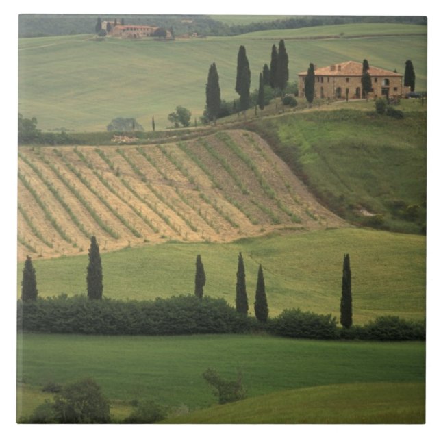 Carreau Europe, Italie, Toscane, Val d'Orcia, Toscan (Devant)