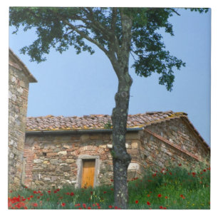 Carreau Europe, Italie, Toscane, villa abandonnée dans