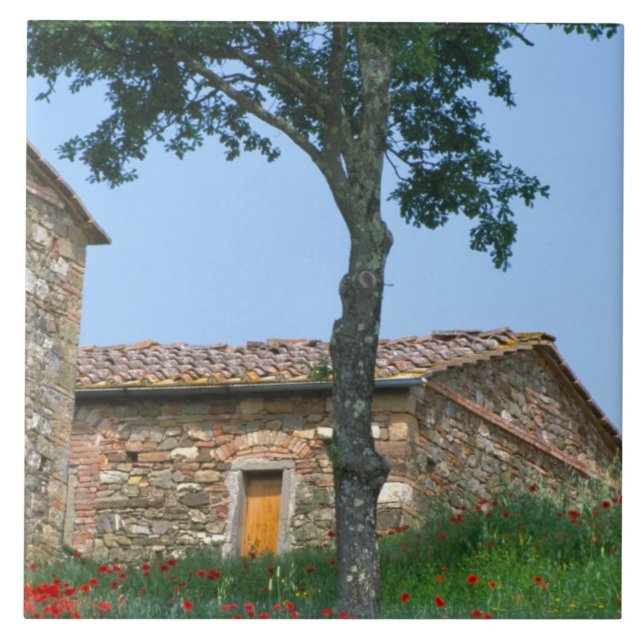 Carreau Europe, Italie, Toscane, villa abandonnée dans (Devant)