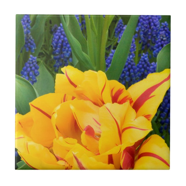 Carreau Europe, Pays-Bas, Lisse. Tulipes (Devant)