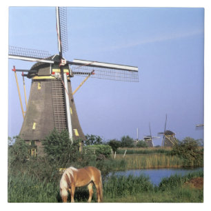 Carreau Europe, Pays-Bas, Zuid Holland, Kinderdijk.2