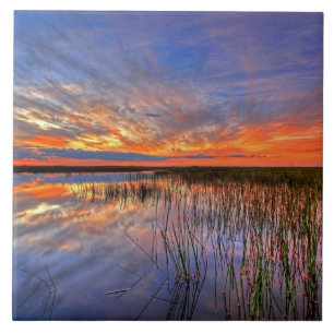 Carreau Everglades colorés, Floride,