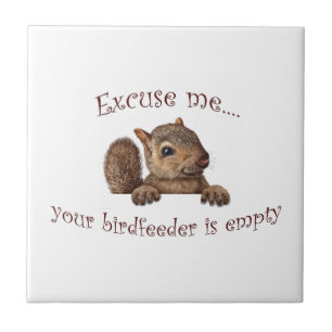 Carreau Excusez-moi...votre chargeur d'oiseaux est vide