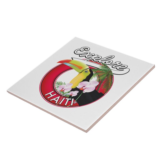 Carreau Explorez le logo Haïti. (Côté)