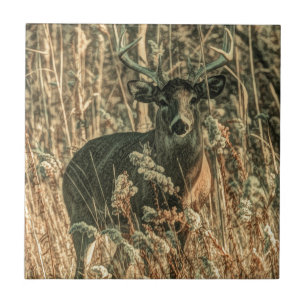 Carreau extérieur sauvage Camouflage cerf blanc