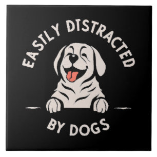 Carreau Facilement distrait par les chiens
