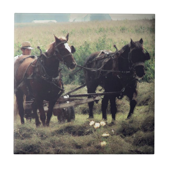 Carreau Faire du foin avec des chevaux (Devant)
