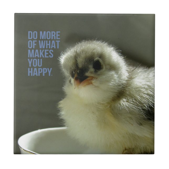 Carreau Faites plus de ce qui vous rend heureux Chick assi (Devant)