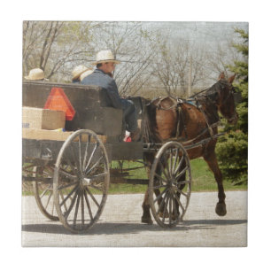 Carreau Famille Amish - Accueil
