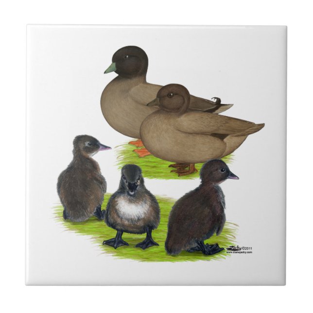 Carreau Famille Call Duck Khaki (Devant)